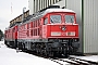 LTS 0299 - Railion "232 083-6"
09.01.2009 - Seddin, Bahnbetriebswerk
Ingo Wlodasch