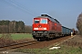 LTS 0433 - DB Schenker "233 219-5"
03.04.2012 - Spree
Torsten Frahn