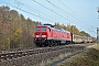 LTS 0433 - DB Cargo "233 219-5"
09.11.2018 - Groß Kreutz (Havel)-Götz
Rudi Lautenbach