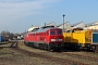 LTS 0433 - DB Cargo "233 219-5"
03.03.2021 - DB Fahrzeuginstandhaltung GmbH, Werk Cottbus
Peter Wegner